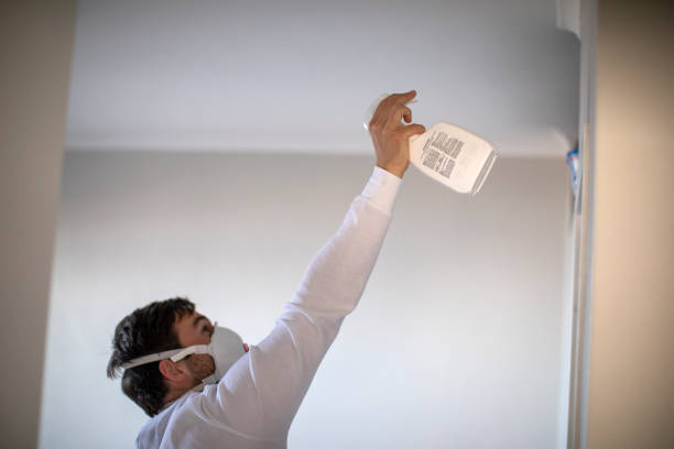 Best HVAC Mold Remediation in Hannahs Mill, GA