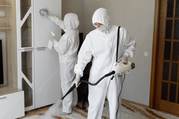 Best Industrial Mold Remediation in Hannahs Mill, GA